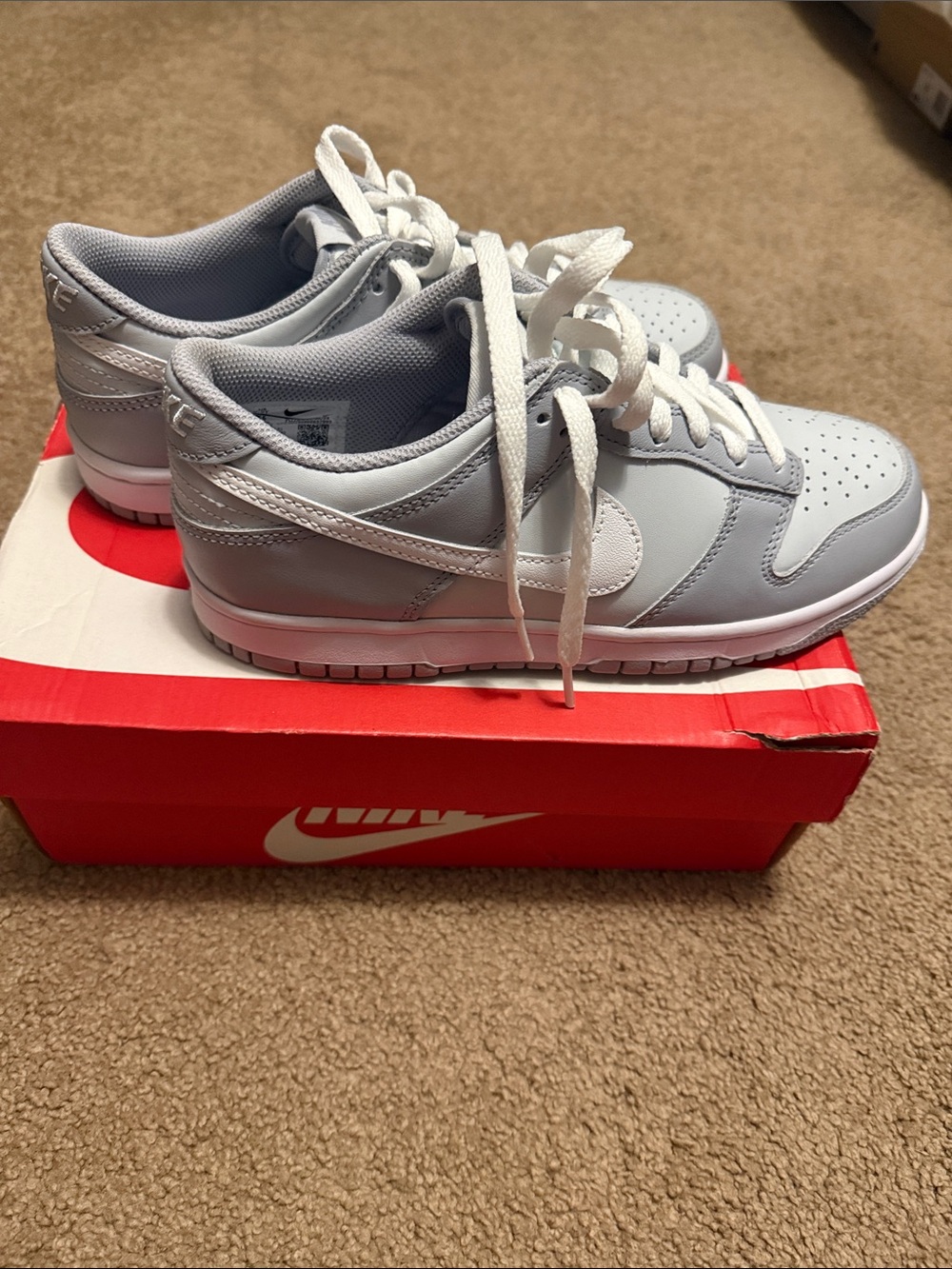 Nike Dunk Low Sneakers in Light Gray and White